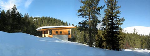 modern-cabin-pine-5