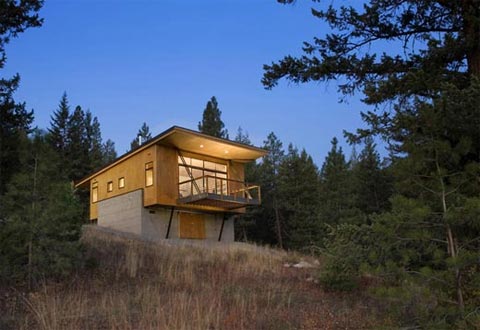 modern-cabin-pine