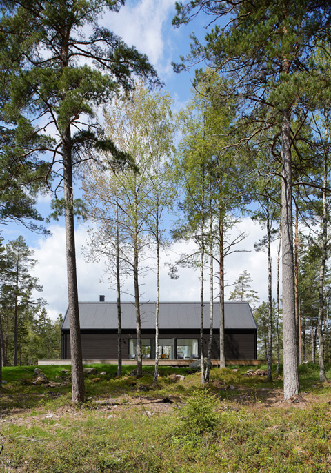 modern-cabin-villa-wallin