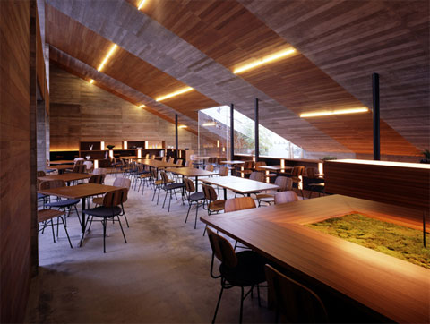 modern-cafe-lamiell5