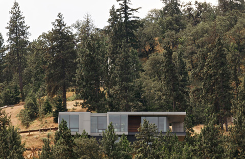 modern-hillside-home-elements3