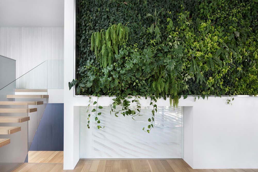 modern house living wall - Courcelette Residence