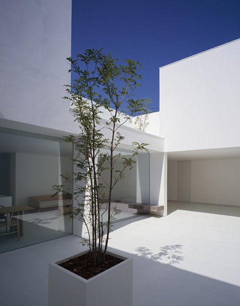 modern-house-white-cave4