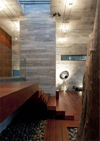 modern-interior-design-tree-3