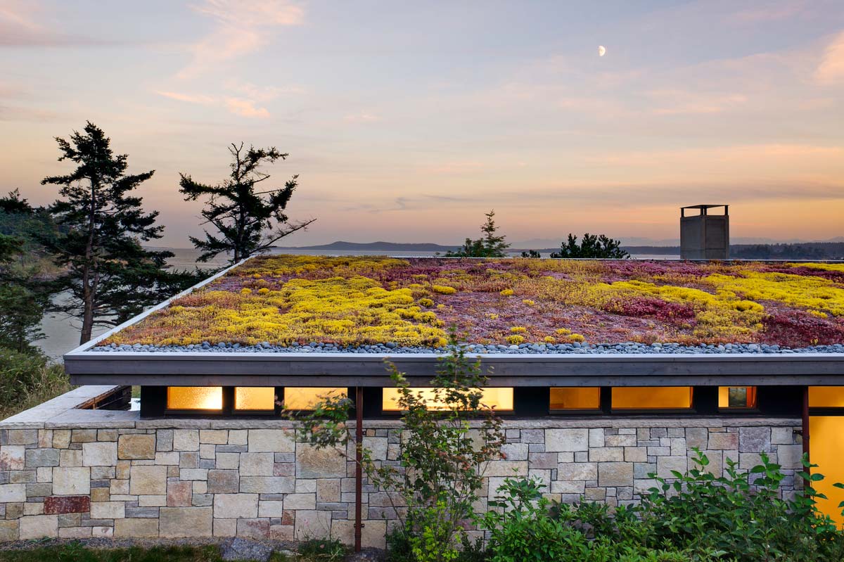 modern island cabin design green roof - North Bay Residence