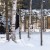 modern lake cottage uufie3 50x50 - Lake Cottage: reflecting nature as an extension