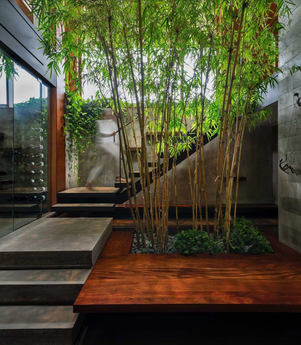 modern split level house design bamboo 1000x1145 - Petaluma House