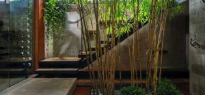 modern split level house design bamboo 300x140 - Petaluma House