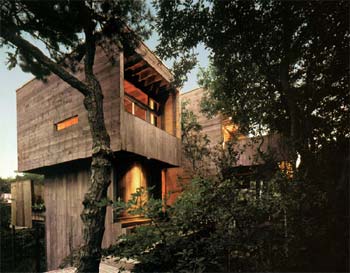 modern-tree-house-1