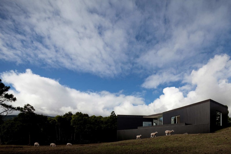 prefab home cz house1 800x533 - CZ house: A prefab surrounded by sheep