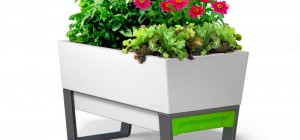 self watering planter 300x140 - Glowpear Urban Garden