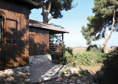 shipping-container-cabin-tree-3