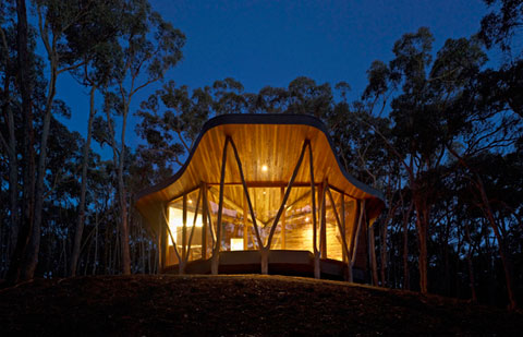 small cabin trunk house 912 - Trunk House: life inside a bird’s nest