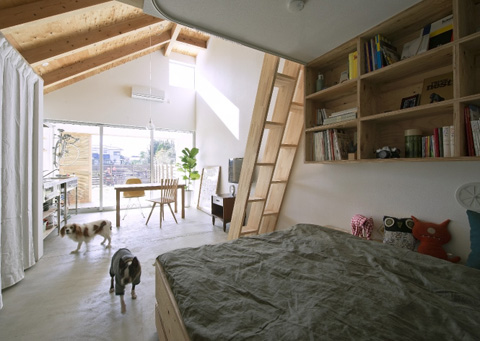 small-house-dogsalon5