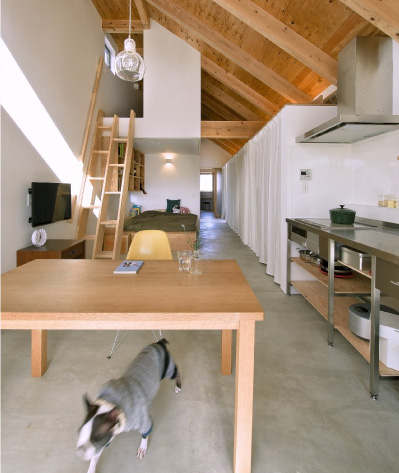 small-house-dogsalon6