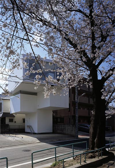 small-house-tree