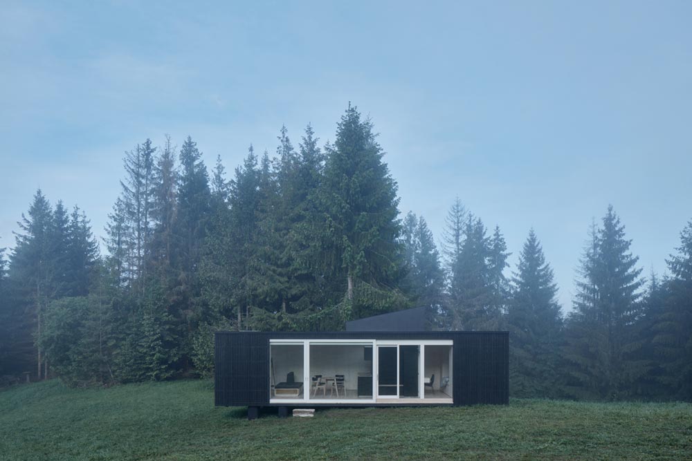 small modern cabin design facade - Into the Wild Cabin