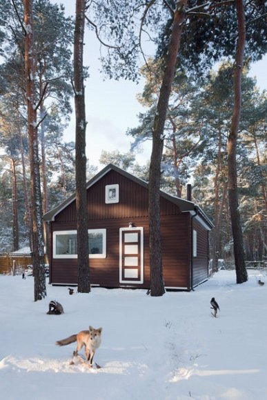 small-modern-cabin-waldhaus2