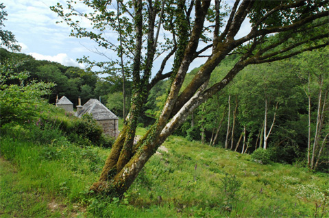 stone-cottages-ottergilly