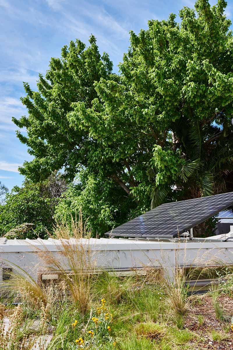 sustainable cottage green roof - Melbourne Vernacular