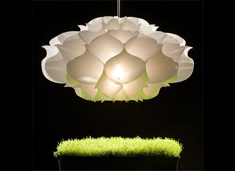 table pendant light phrena2 - Phrena Table/Pendant Lamp: Magic Light