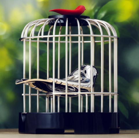 tea strainer melodic2 - “Tea Matter” Melodic Tea Strainer: Chirp Chirp