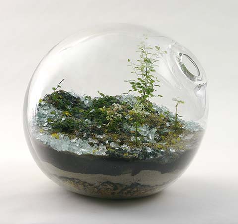 terrarium-05