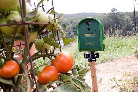 timelapse-garden-camera-ws