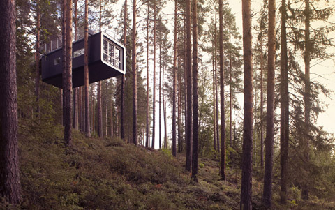 tree-hotel-cabin-4