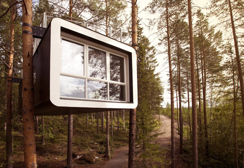 tree-hotel-cabin