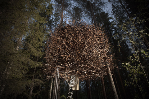 tree-hotel-nest