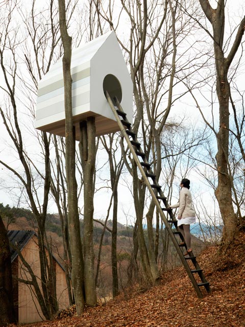 tree-house-bird-watcher-06