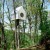 tree house bird watcher 102 50x50 - Tree House Bird Apartment: Watching the Birds
