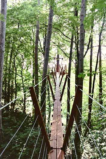 treehouse bridge sophie - Sophie's Terrace: Up In The Trees