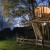 treehouse design baumraum 22 50x50 - Treehouse: between alder and oak