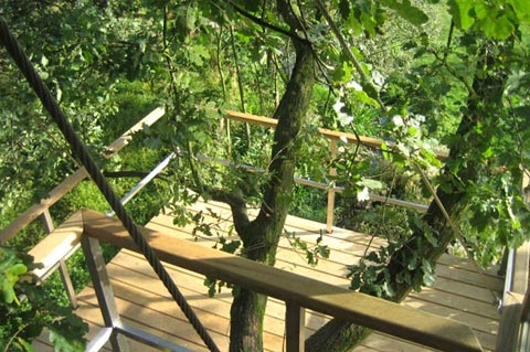 treehouse-design-baumraum-4