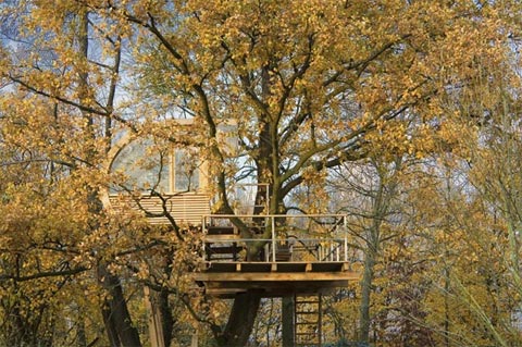 treehouse-design-baumraum-8