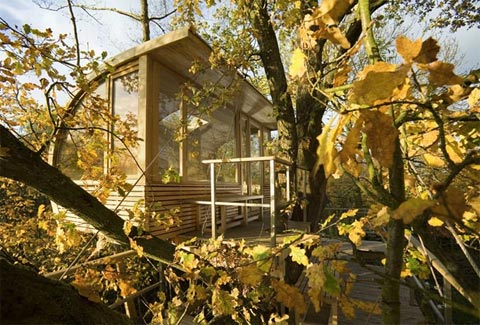 treehouse-design-baumraum