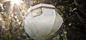 treehouse design cocoon2 300x140 - Cocoon tree: nesting in a... tree