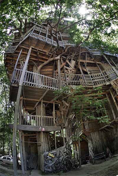 treehouse design god - God's Treehouse