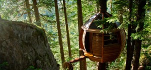 treehouse design hemloft 032 300x140 - The HemLoft: an egg-shaped treehouse