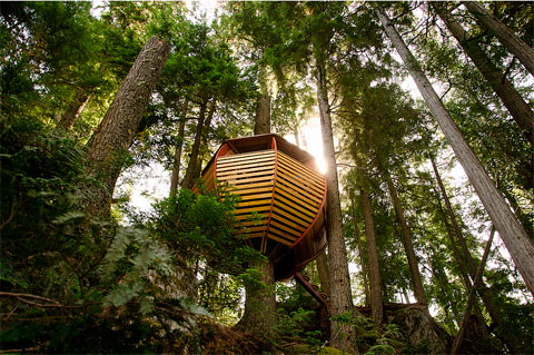 treehouse-design-hemloft-05