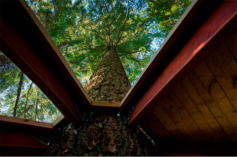 treehouse-design-hemloft-09