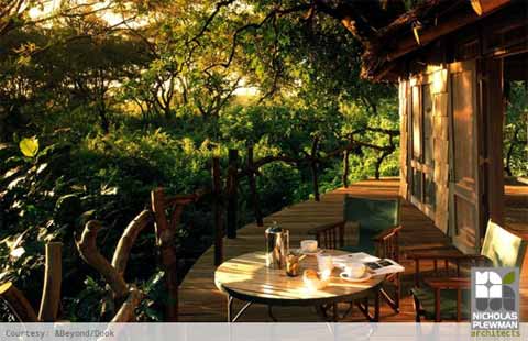 treehouse-design-manyara