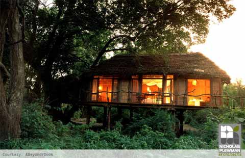 treehouse-design-manyara1