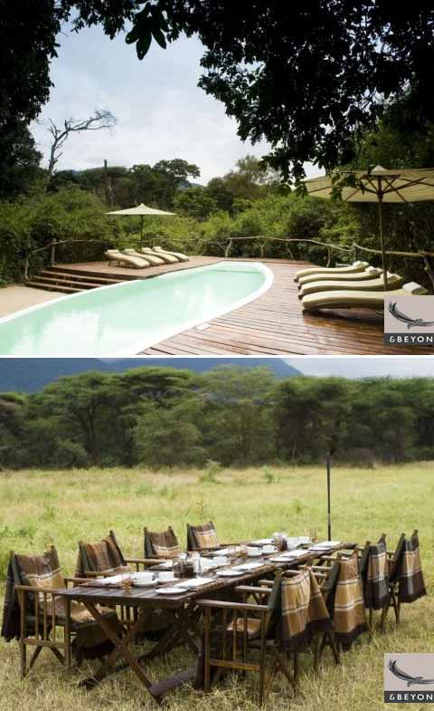 treehouse design manyara6 - African Treehouse: Lake Manyara Tree Lodge