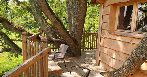 treehouse-design-perche1