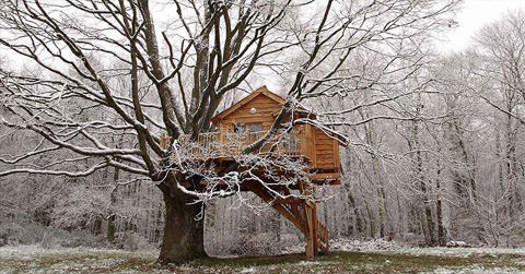 treehouse-design-perche5