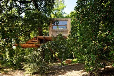 treehouse-design-prague2