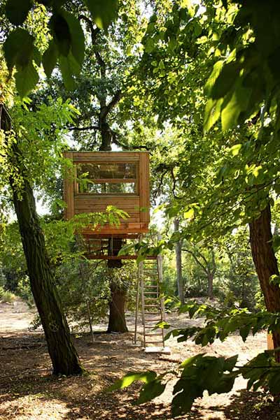 treehouse-design-prague3